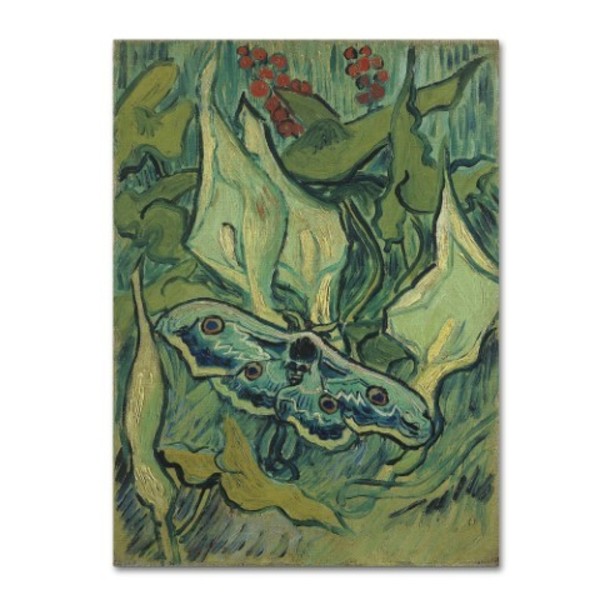 Trademark Fine Art Van Gogh 'Emperor Moth' Canvas Art, 24x32 AA01175-C2432GG